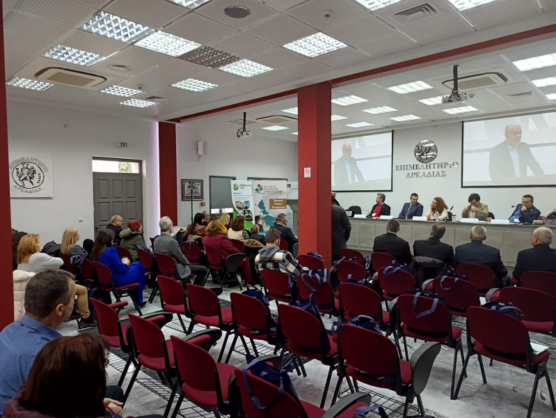 639504584-2903191879885101-2804613820274579274-n.jpg?v=0