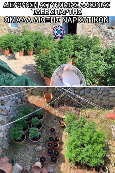 2262025-lakonia-narkwtika-opla-syllipsi-2.jpeg?v=0