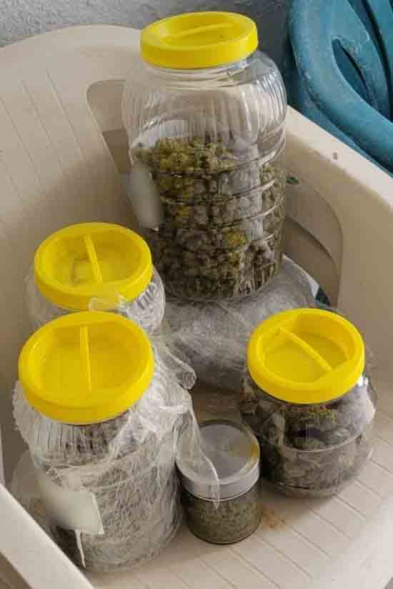 1932026-narkwtika-syllipsi-korinthia-2.jpeg?v=0