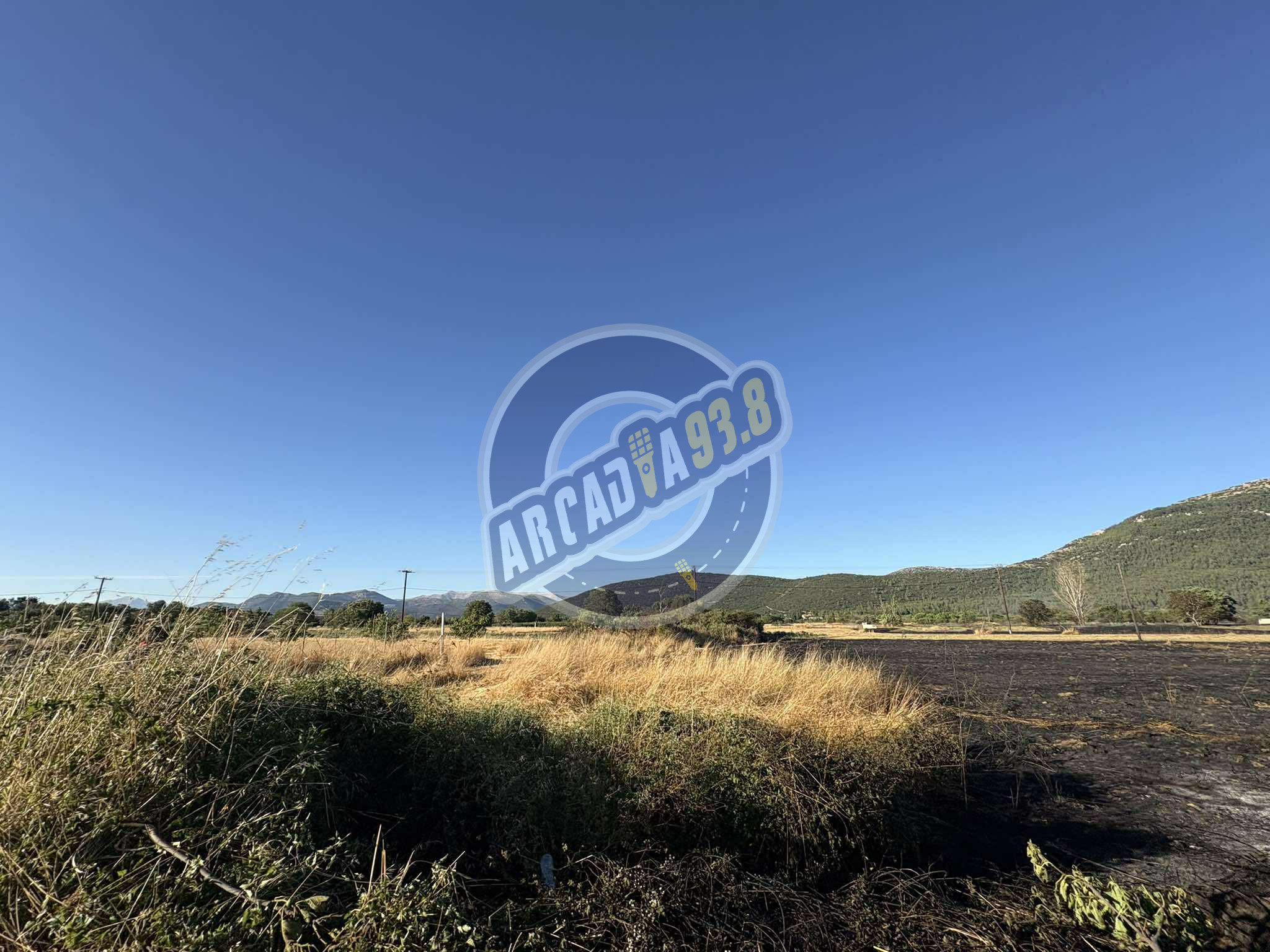 fwtia-yfesh2.jpg?v=0