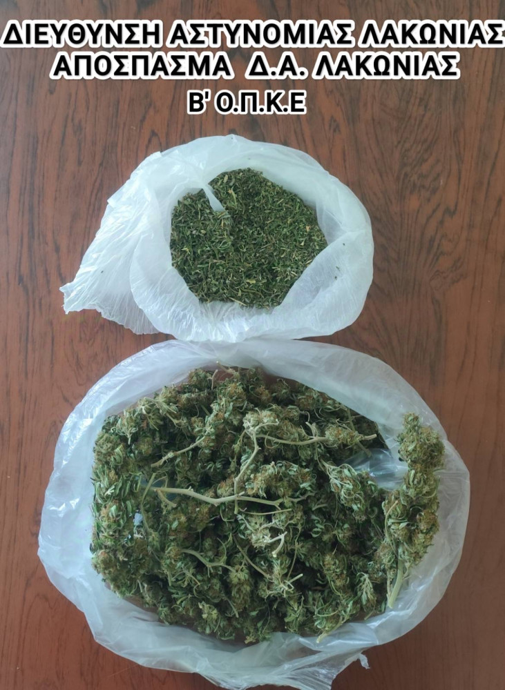 Δελτίο Τύπου