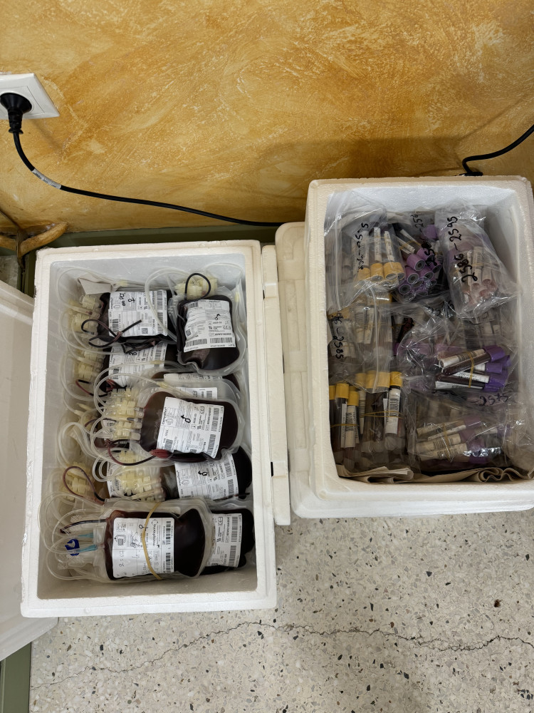 Δελτίο Τύπου