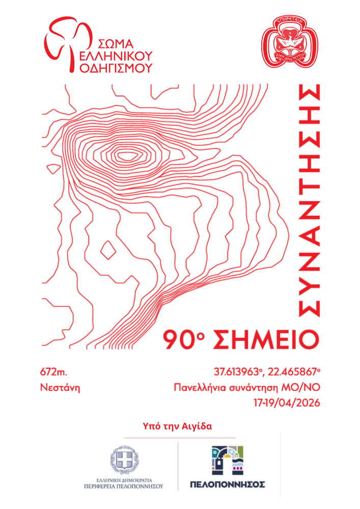 seo-klados-meghalon-odighon-nestani-2026.jpg