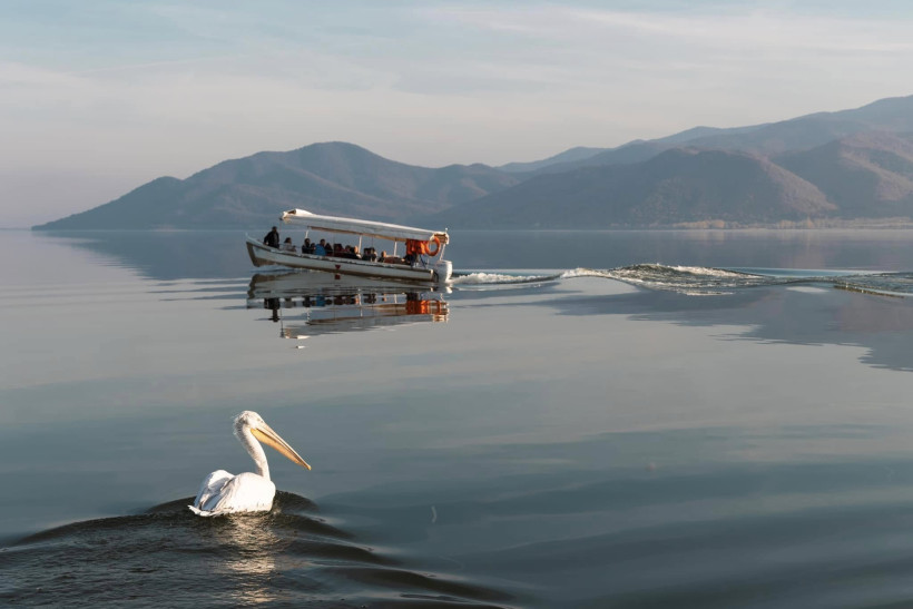 Δελτίο Τύπου