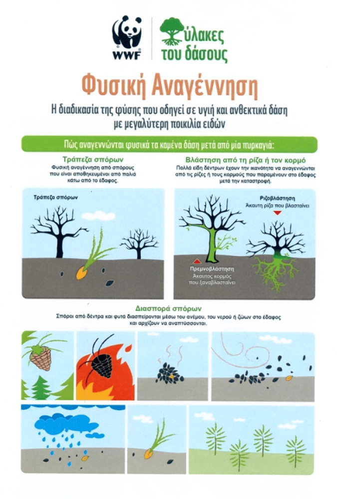 Δελτίο Τύπου