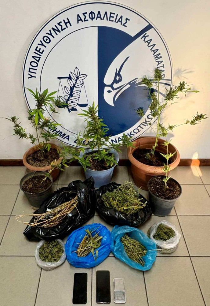 Δελτίο Τύπου