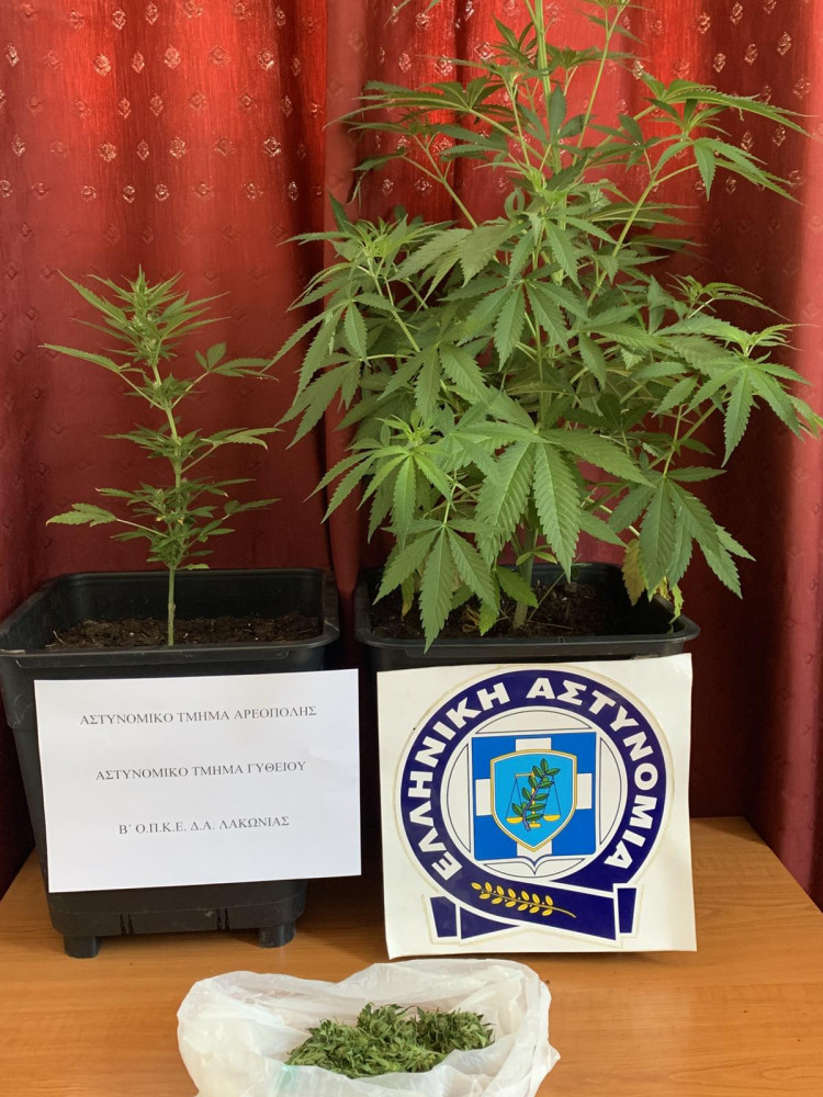 2662025-0900-peloponnisou-enimerwtiko.jpg?v=0