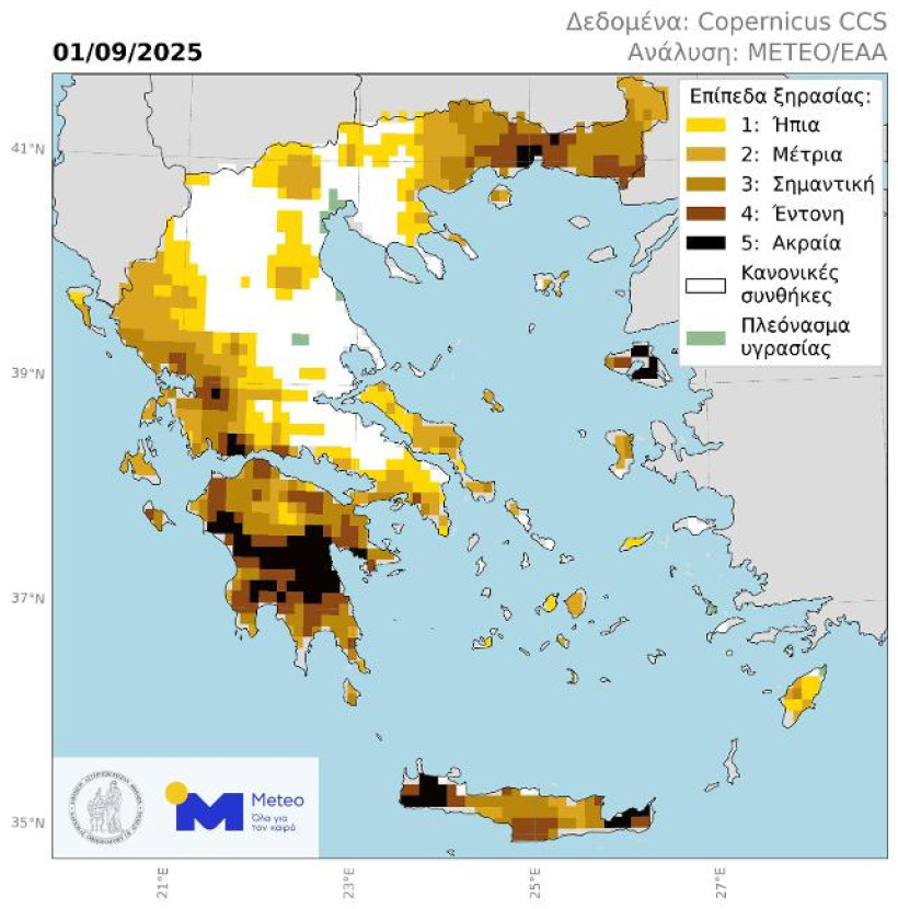 Δελτίο Τύπου