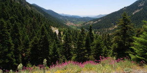 Εξόρμηση με τον ΣΑΟΟ στο Ανατολικό Μαίναλο