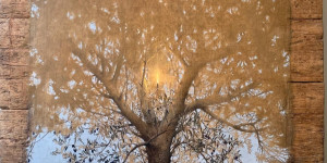 Δράση για την Παγκόσμια Ημέρα Ελαιόδενδρου στη Σπάρτη