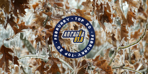 Φεβρουάριος 2025: TOP 20 ελληνικής και ξένης μουσικής!