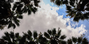 Τρίπολη: Ο καιρός σήμερα, Κυριακή 9 Νοεμβρίου