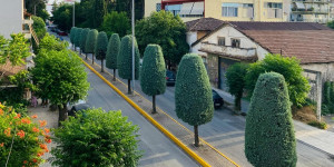 Ενοικιάζεται διαμέρισμα στο κέντρο της Τρίπολης