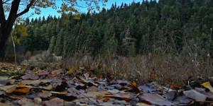 Η Πελοπόννησος δεύτερος καλύτερος προορισμός για φαγητό στον κόσμο