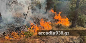 22 προσλήψεις για τις ανάγκες πυροπροστασίας του Δήμου Τρίπολης