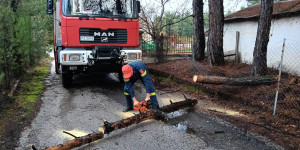 Τρίπολη: Οι ισχυροί άνεμοι έριξαν δέντρο στην οδό Δάσους