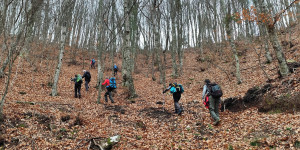"Γέμισαν" από εικόνες και συναισθήματα όσοι συμμετείχαν στην εξόρμηση του ΣΑΟΟ στη Χαλκιδική