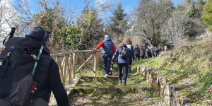 Κορύφωση των δράσεων της ΔΔΕ Αρκαδίας για την Ευρωπαϊκή Εβδομάδα Χειμερινού Αθλητισμού στο Λιμποβίσι