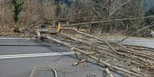 Καταγραφή ζημιών από τα πρόσφατα καιρικά φαινόμενα στο Δήμο Γορτυνίας