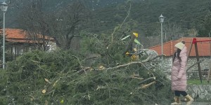 Ζημιές προκλήθηκαν από την κακοκαιρία στο Ελληνικό Γορτυνίας