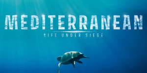 "Μεσόγειος: Πολιορκημένη Θάλασσα" Ειδική προβολή στο Μουσείο Ελιάς και Ελληνικού Λαδιού