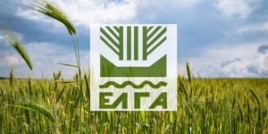 Δύο κτηνίατρους προσλαμβάνει ο ΕΛΓΑ για το γραφείο Τρίπολης