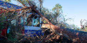 Δέντρο έπεσε πάνω σε εν κινήσει τρένο στον Πύργο!