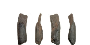 Στη Μεγαλόπολη εντοπίστηκαν τα αρχαιότερα γνωστά ξύλινα εργαλεία παγκοσμίως !