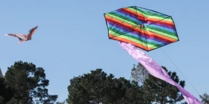 "Ο χαρταετός θέλει αέρα, όχι αλκοόλ": Το ευρηματικό βίντεο της ΕΛΑΣ για την Καθαρά Δευτέρα