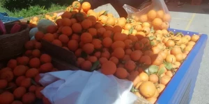 Μεταφορά ημέρας λειτουργίας των λαϊκών αγορών στις πλατείες Βαλτετσίου και Θεοκρίτου