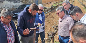Κλιμάκιο της Περιφέρειας και του ΕΛΓΑ στις πληγείσες αγροτικές περιοχές της Αρκαδίας