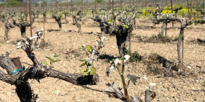 Συνάντηση Πτωχού-Λυκουρέντζου στην Τρίπολη