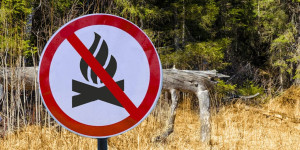 Τα μέτρα του Δήμου Τρίπολης για την αποφυγή πυρκαγιών