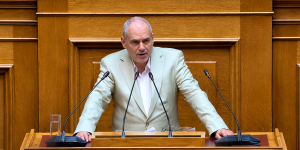 Παπαηλιού: Το νομοσχέδιο για τη μετανάστευση εξυπηρετεί πολιτικές και επικοινωνιακές σκοπιμότητες