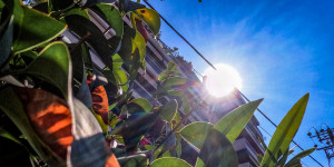 Τρίπολη: Ο καιρός σήμερα, 13 Ιανουαρίου 2026