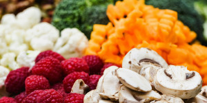 Eνημερωτική συζήτηση "Καρκίνος & Διατροφή" στο Στασινοπούλειο Πολιτιστικό Κέντρο