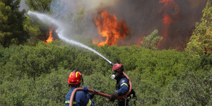 Πυρκαγιά στο Παλλάντιο: Άμεση επέμβαση της Πυροσβεστικής Υπηρεσίας Τρίπολης