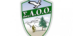 Κόβει πίτα και... διαμαρτύρεται ο ΣΑΟΟ στις 18 Ιανουαρίου