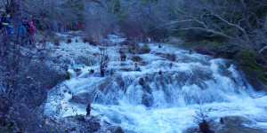 Στην πανέμορφη και σε λευκό φόντο Νυμφασία έκοψε την πίτα του ο ΣΑΟΟ