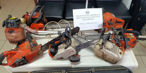 Πλούσια... συγκομιδή από "ντου" της ΕΛ.ΑΣ. σε καταυλισμούς ρομά στη Μεσσηνία