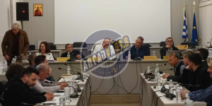 Τι ειπώθηκε στη συνεδρίαση του Δημοτικού Συμβουλίου Τρίπολης για τα αδέσποτα