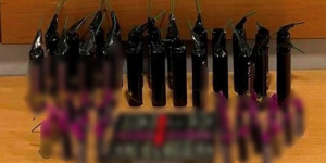 Ανήλικος είχε κρυμμένες στο σπίτι του 68 κροτίδες