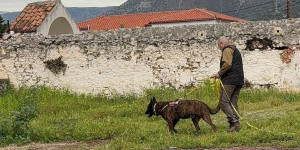 Φόλες σε τρία σημεία στο Λεωνίδιο - Έρευνα για τον εντοπισμό του υπαίτιου