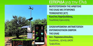 Εσπερίδα για την ελιά με ελεύθερη την είσοδο στη Βόρεια Κυνουρία
