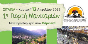 1η Γιορτή Μανιταριών στη Σίταινα