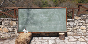 Με απόλυτη επιτυχία στέφθηκε η 1η Γιορτή Μανιταριών στη Σίταινα