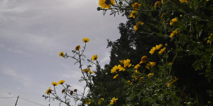 Τρίπολη: ο καιρός σήμερα 2 Δεκεμβρίου 2025