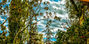 Τρίπολη: Ο καιρός σήμερα, 19 Δεκεμβρίου 2025