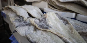 Λινγκ ή μπακαλιάρος: Πώς θα τα ξεχωρίσετε στις αγορές σας για την 25η Μαρτίου