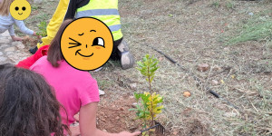 Δράση φύτευσης δένδρων στον Δήμο Νότιας Κυνουρίας